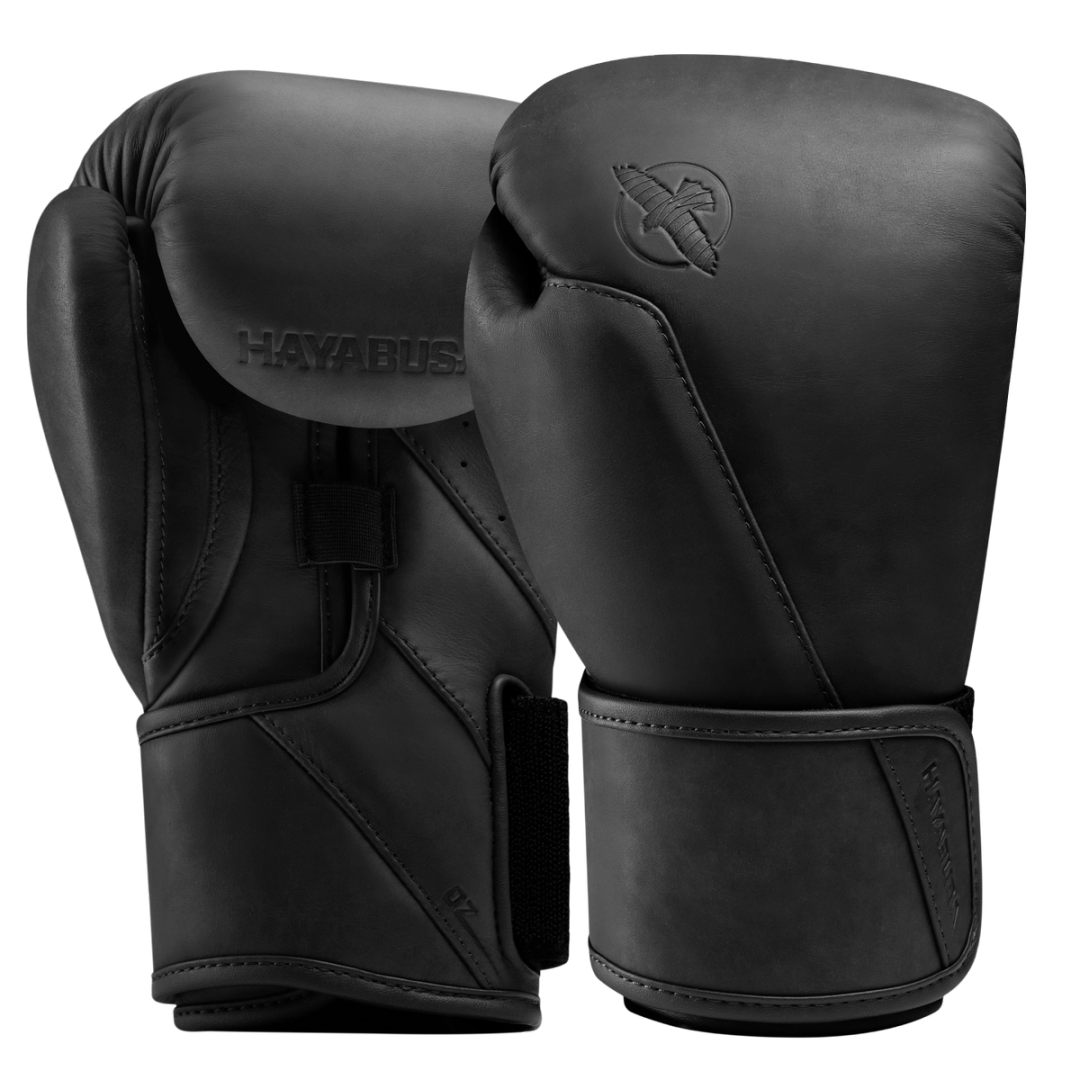 Hayabusa T360 Leather Boxing Gloves