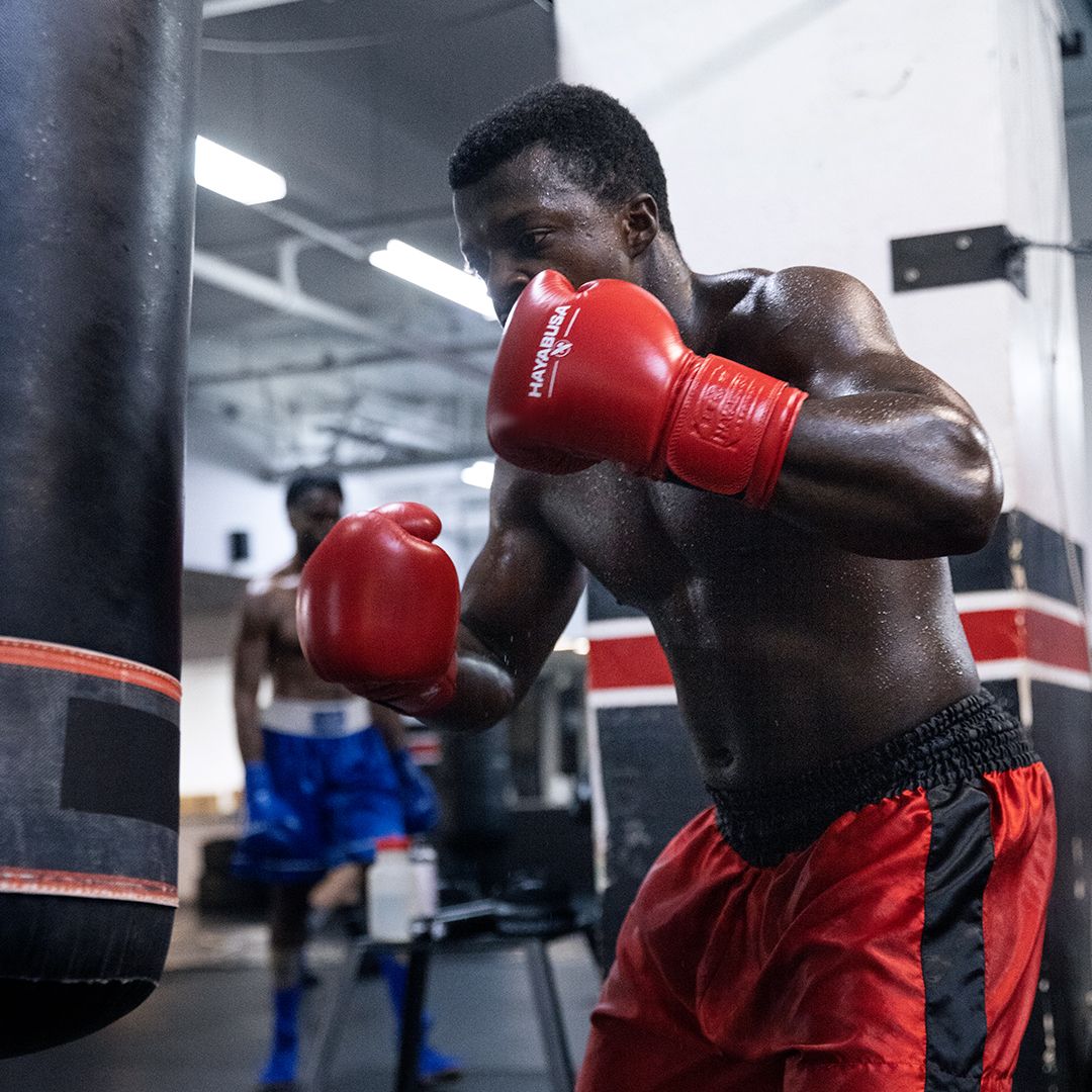 Hayabusa Pro Boxing Gloves