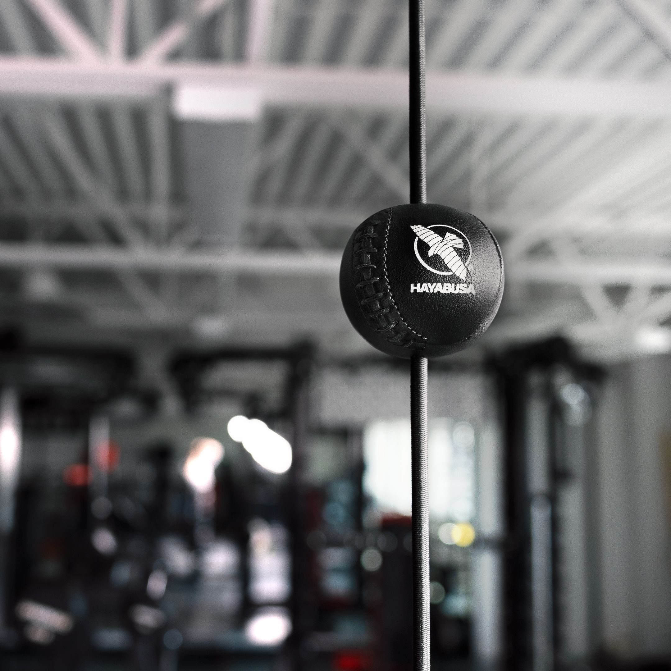 Hayabusa Double End Ball - Image 5