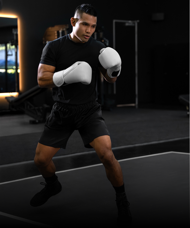 Boxing Gloves