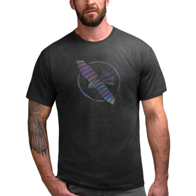 Hayabusa Falcon T-Shirt