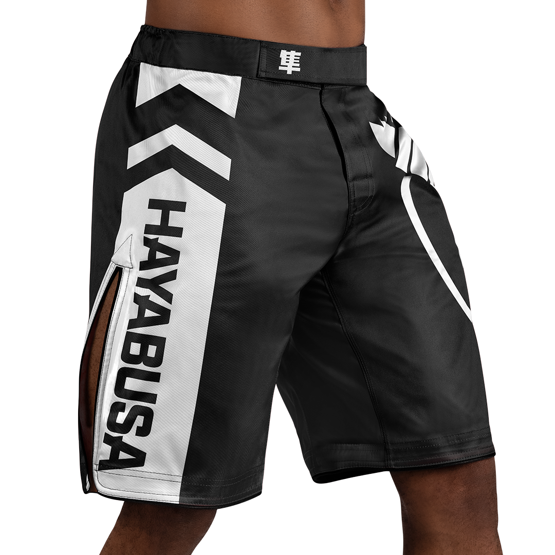 Hayabusa Icon MMA Shorts - Image 2