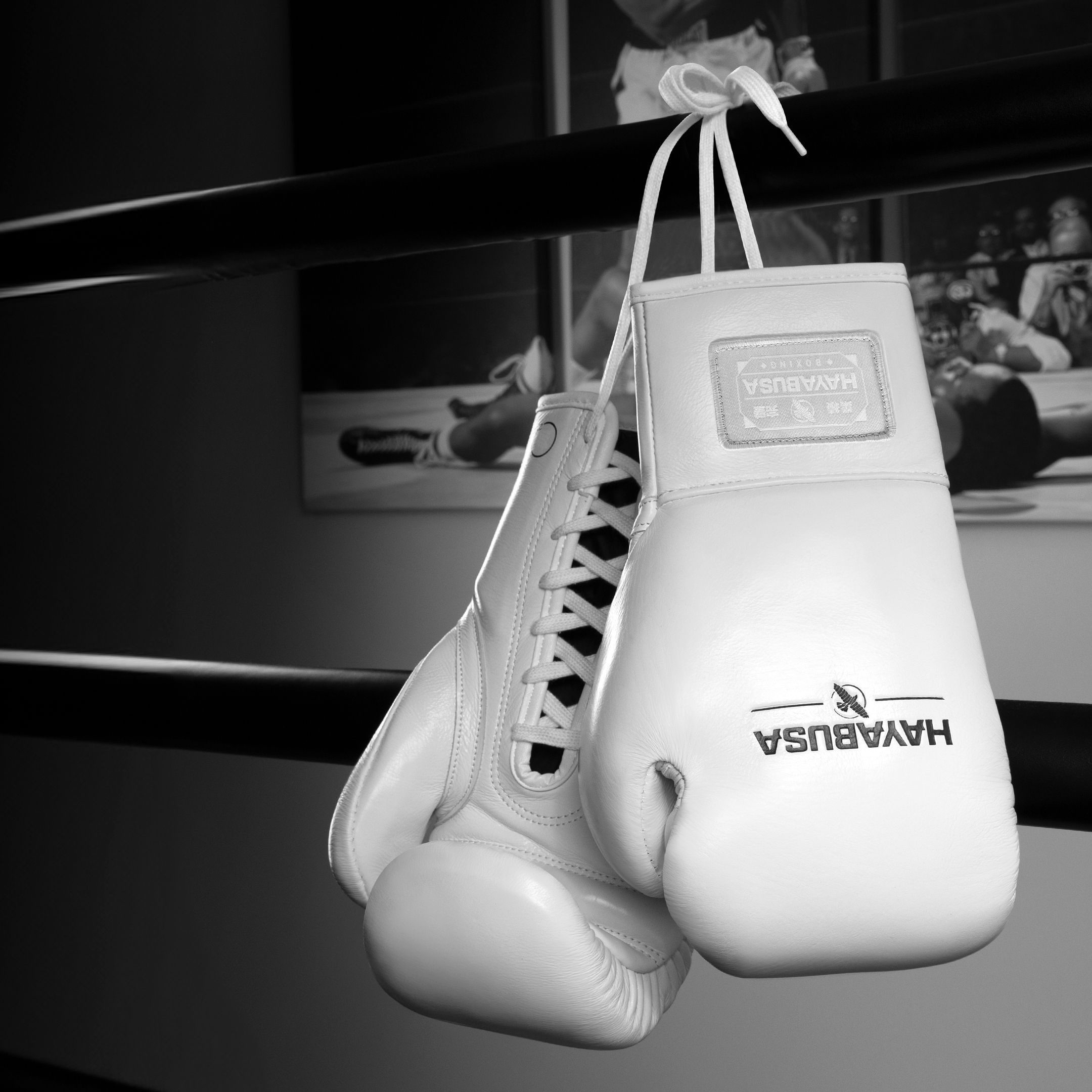 Hayabusa Pro Horsehair Fight Boxing Gloves - Image 4