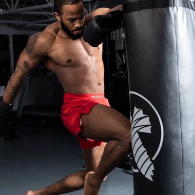 Hayabusa Arrow Kickboxing Shorts - Image 6