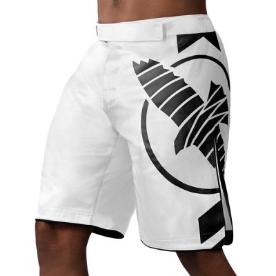 Hayabusa Icon MMA Shorts - Image 1
