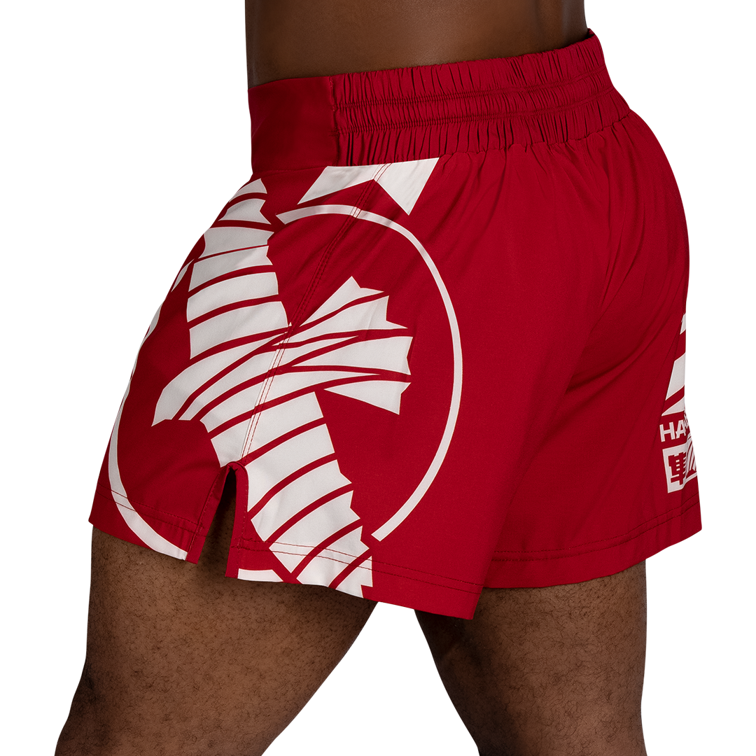 Hayabusa Icon Kickboxing Shorts - Image 3