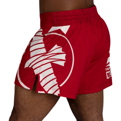 Hayabusa Icon Kickboxing Shorts - Image 3