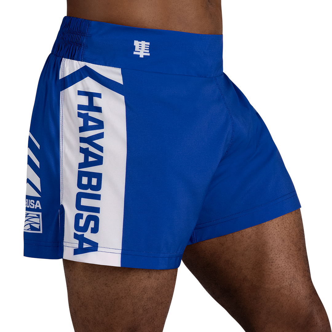 Hayabusa Icon Kickboxing Shorts - Image 2