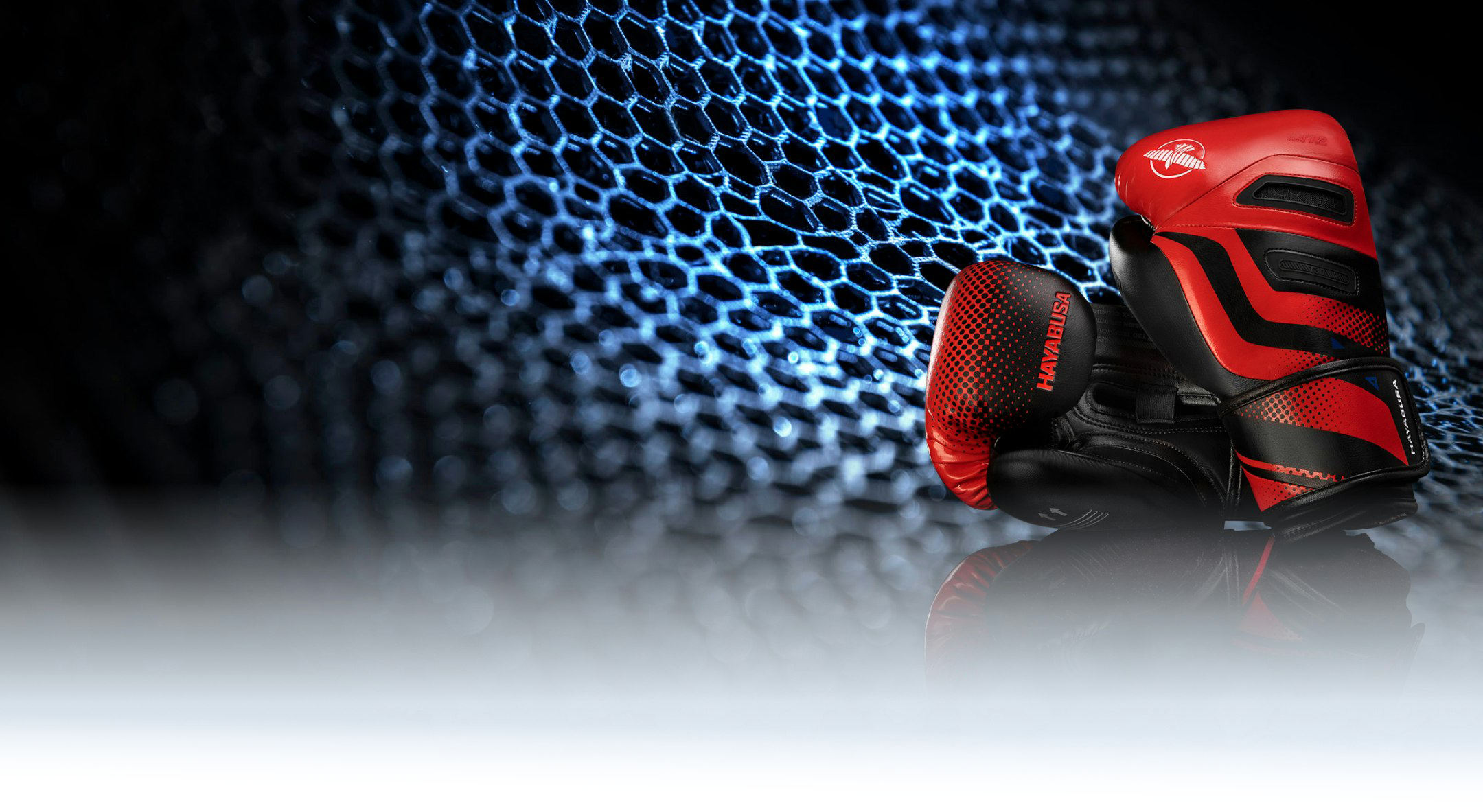 The future of Boxing