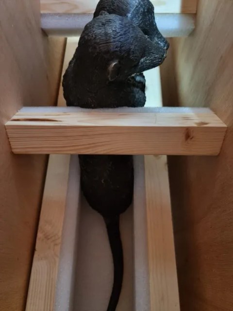 Bronze animal sculpture braced with timber before crating