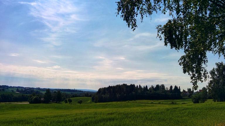 Galgeberget på Hamar