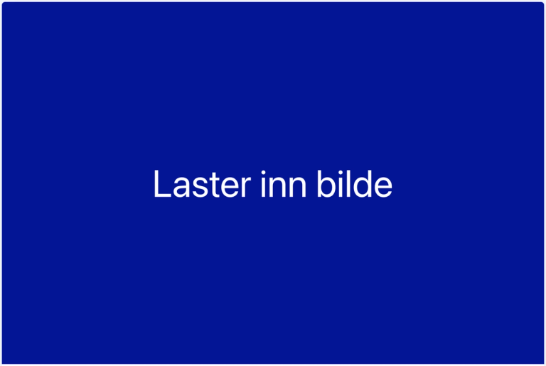 Skjermbilde av hvordan det ser ut før hovedbildet er lastet inn