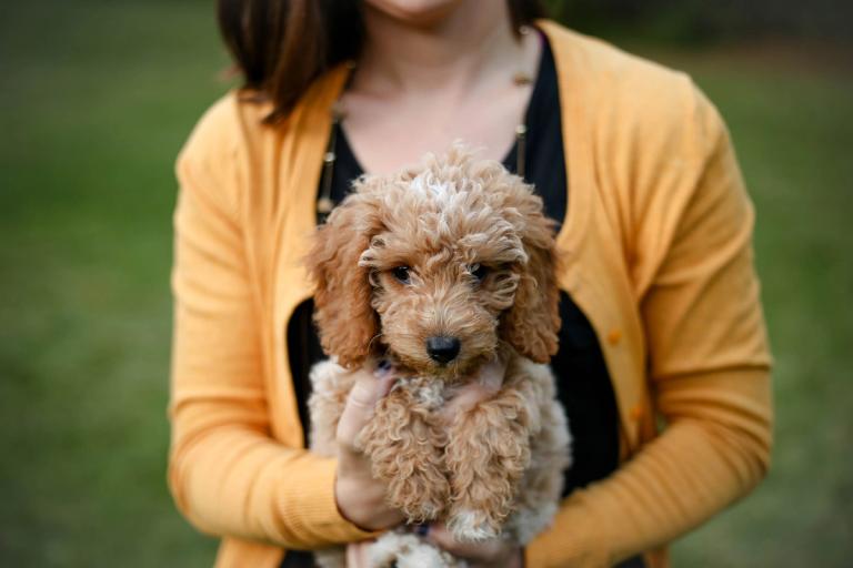 Kvinne som holder en hund i hendene