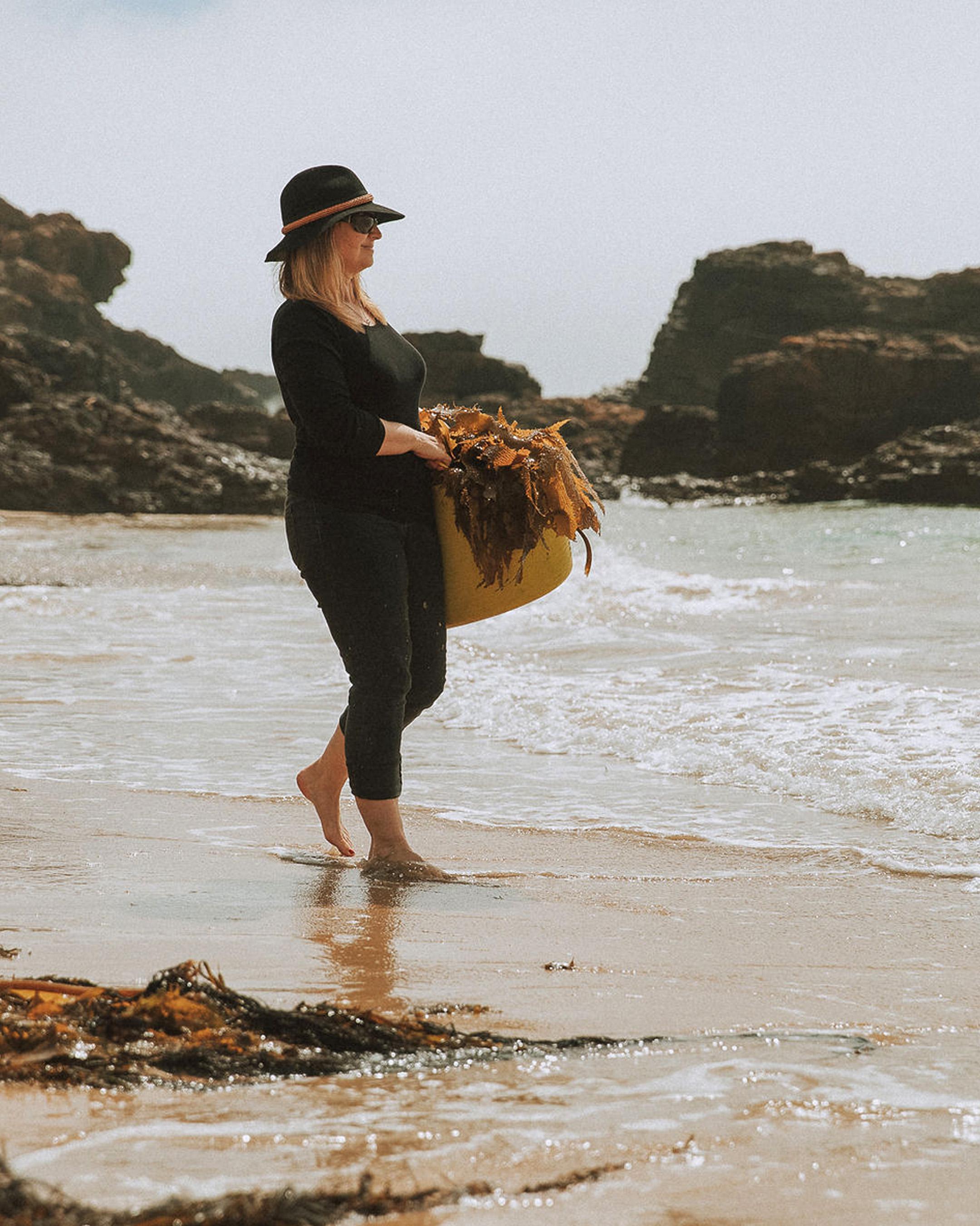 Mystery Bay Kelp