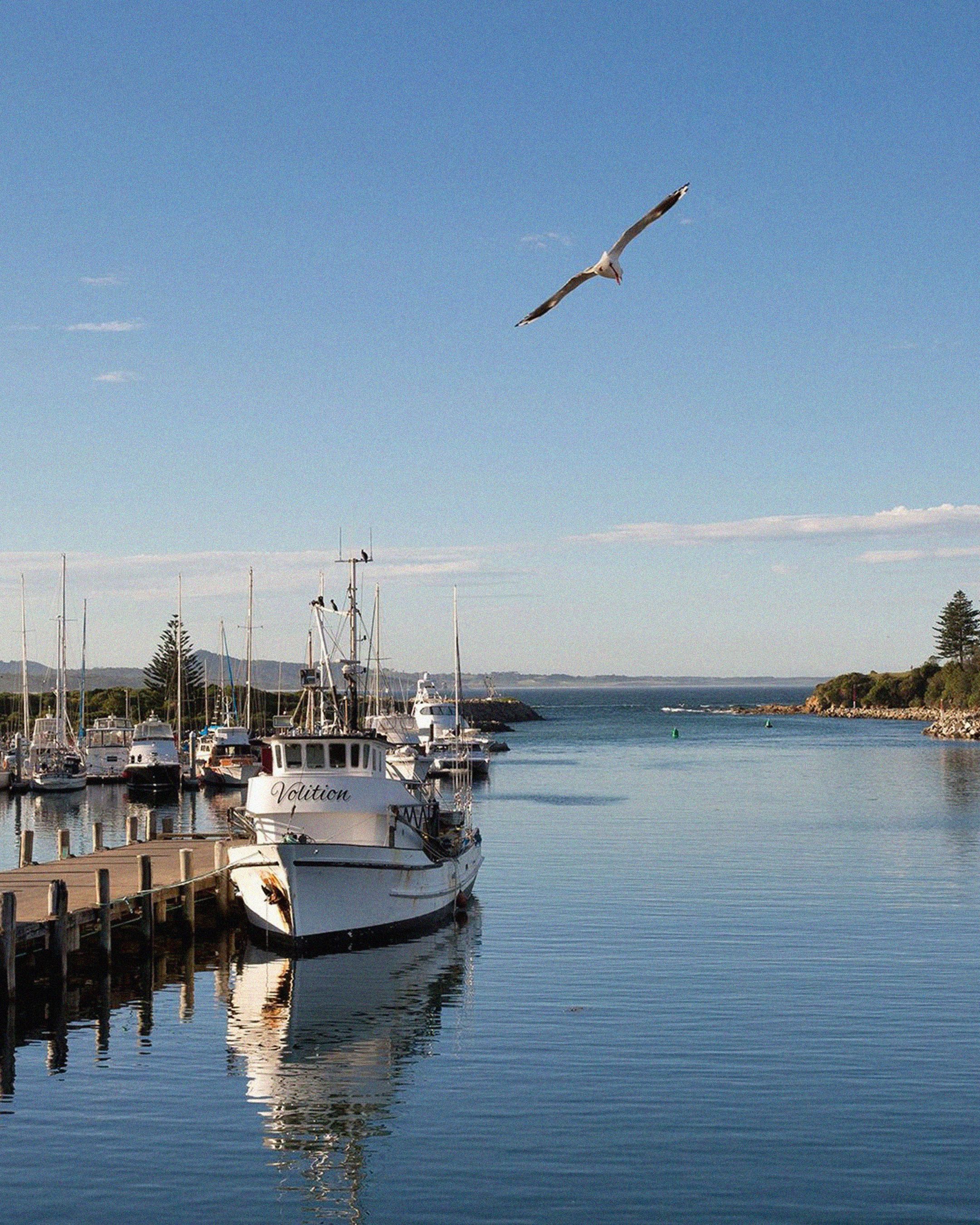 Bermagui