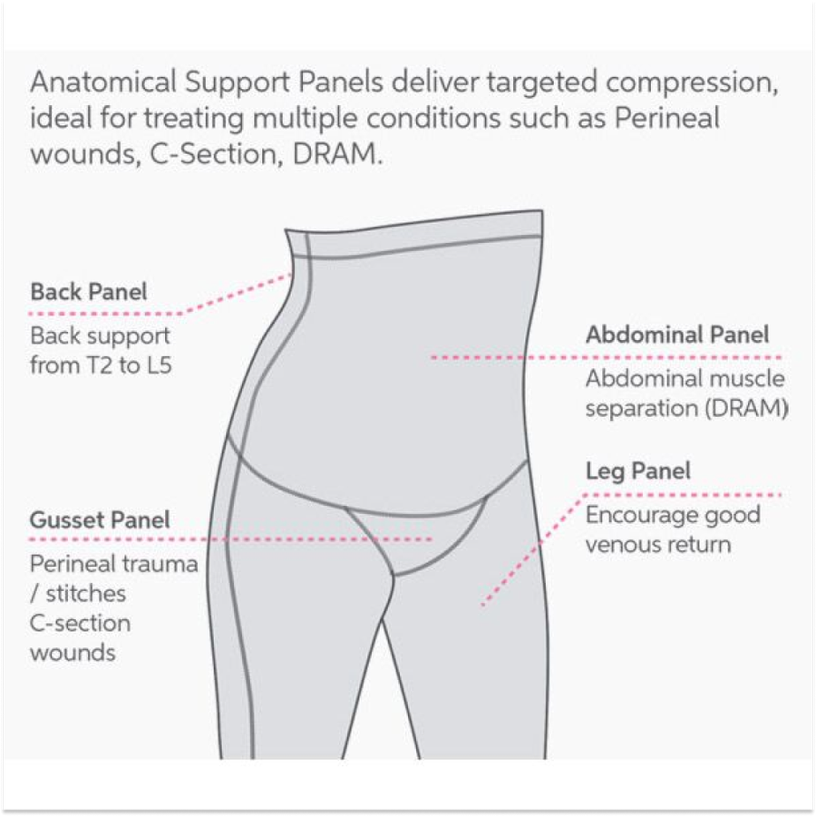 SRC Postpartum Recovery Shorts
