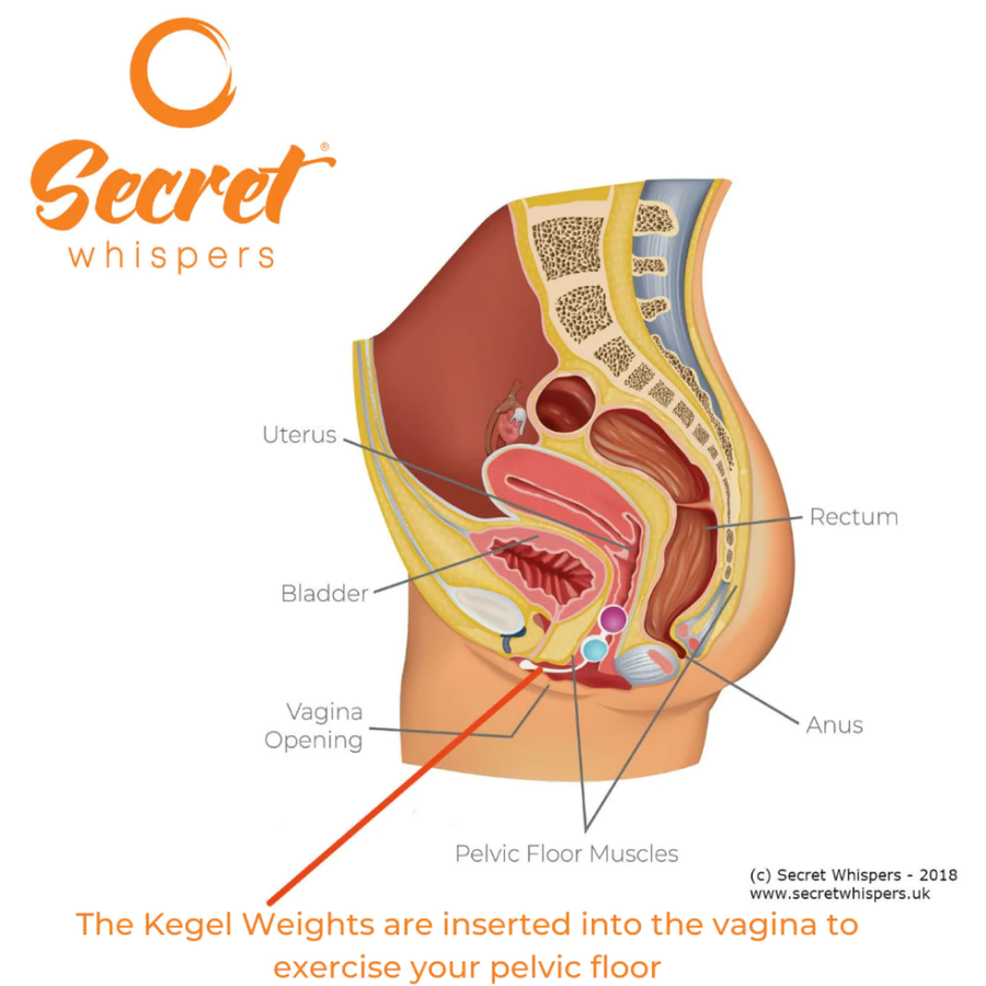 Secret Whispers Pelvic Floor Strengthener For Women