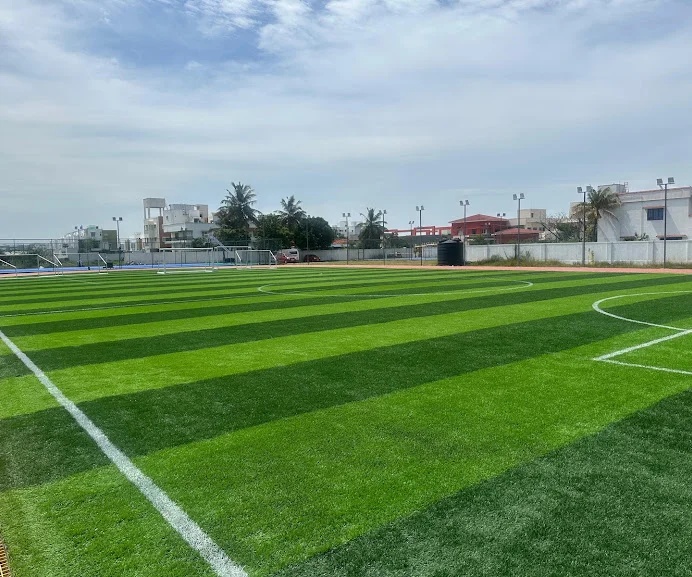 Training Ground View