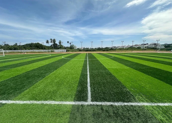 Training Ground View