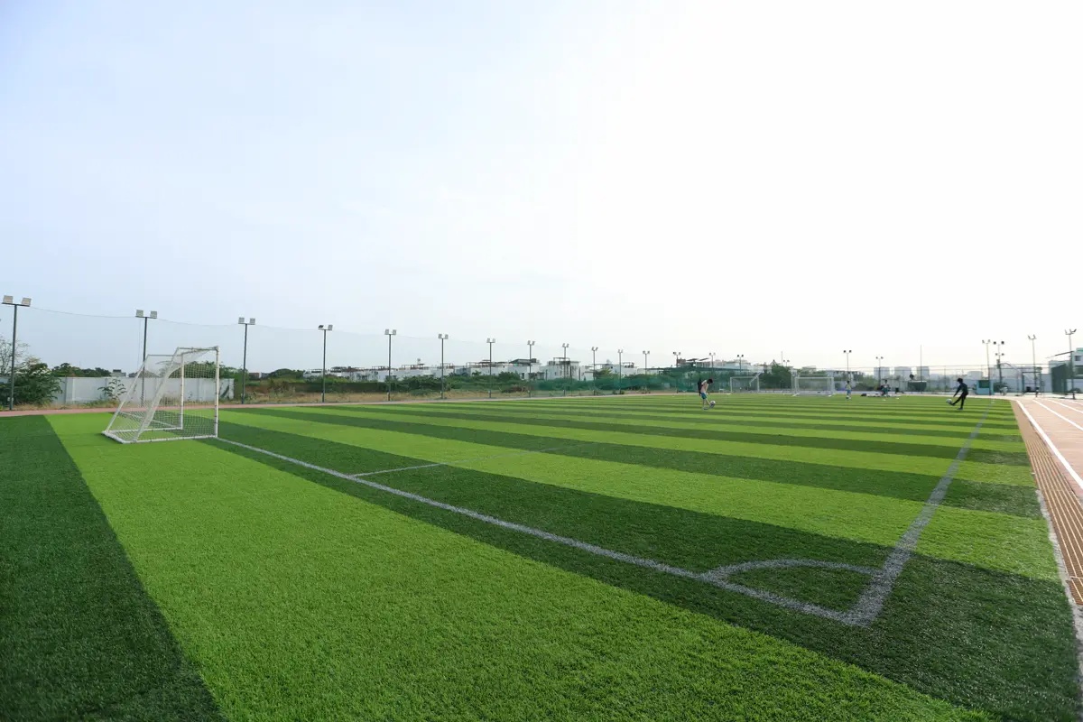 Training Ground View