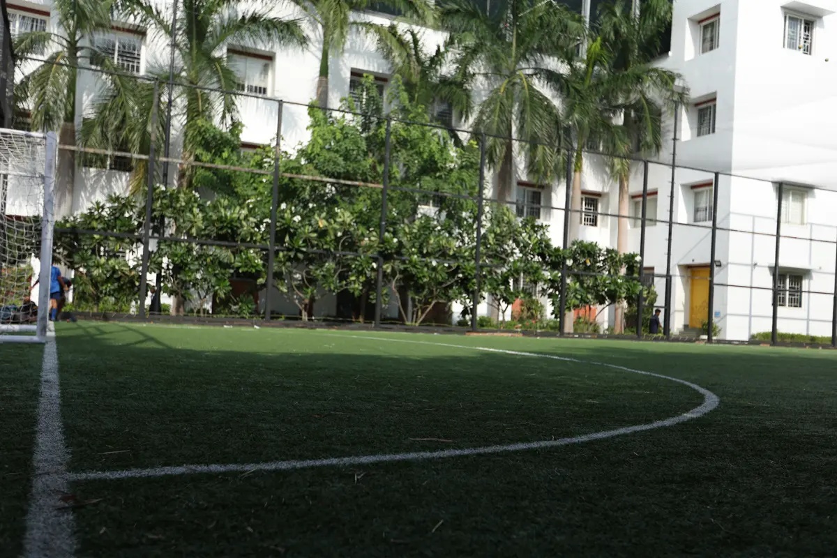 Training Ground View