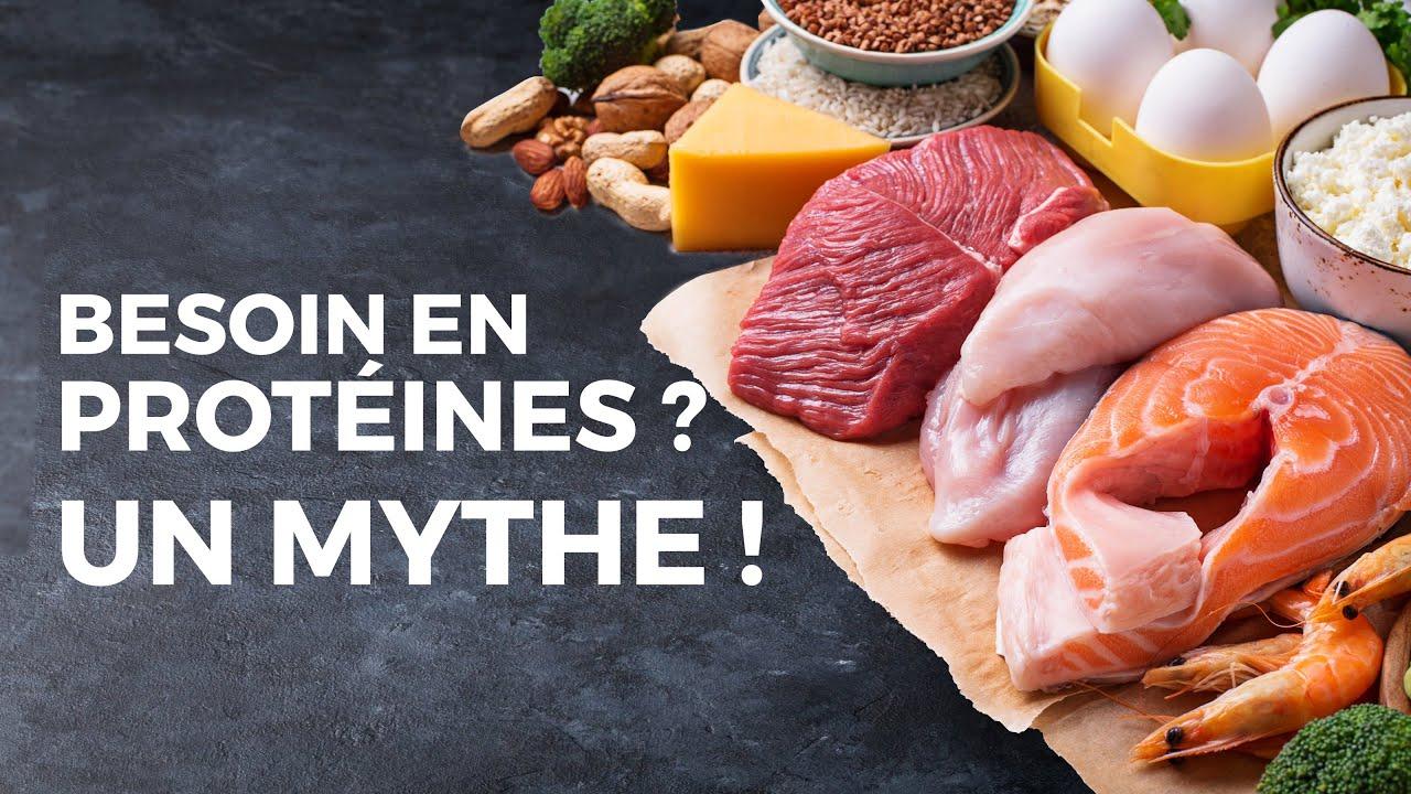 Besoin en Protéines? Le Mythe