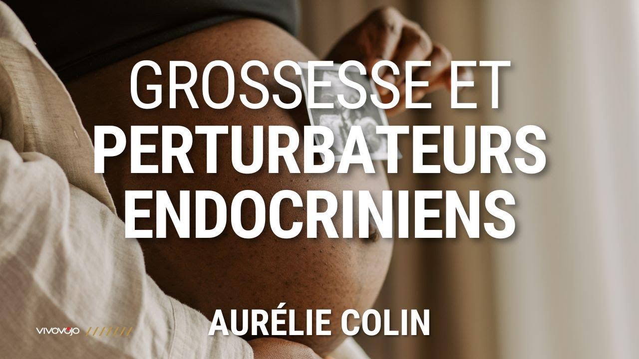 Grossesse et perturbateurs endocriniens - Aurélie COLIN