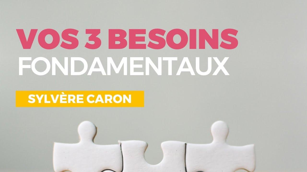 Les 3 Besoins Fondamentaux - Sylvère CARON