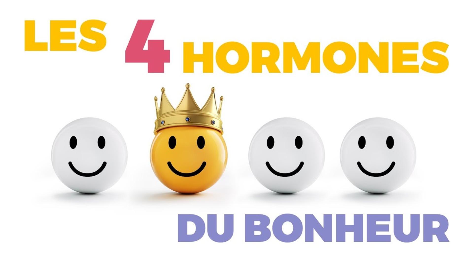 Les 4 Hormones du Bonheur - Sylvère CARON