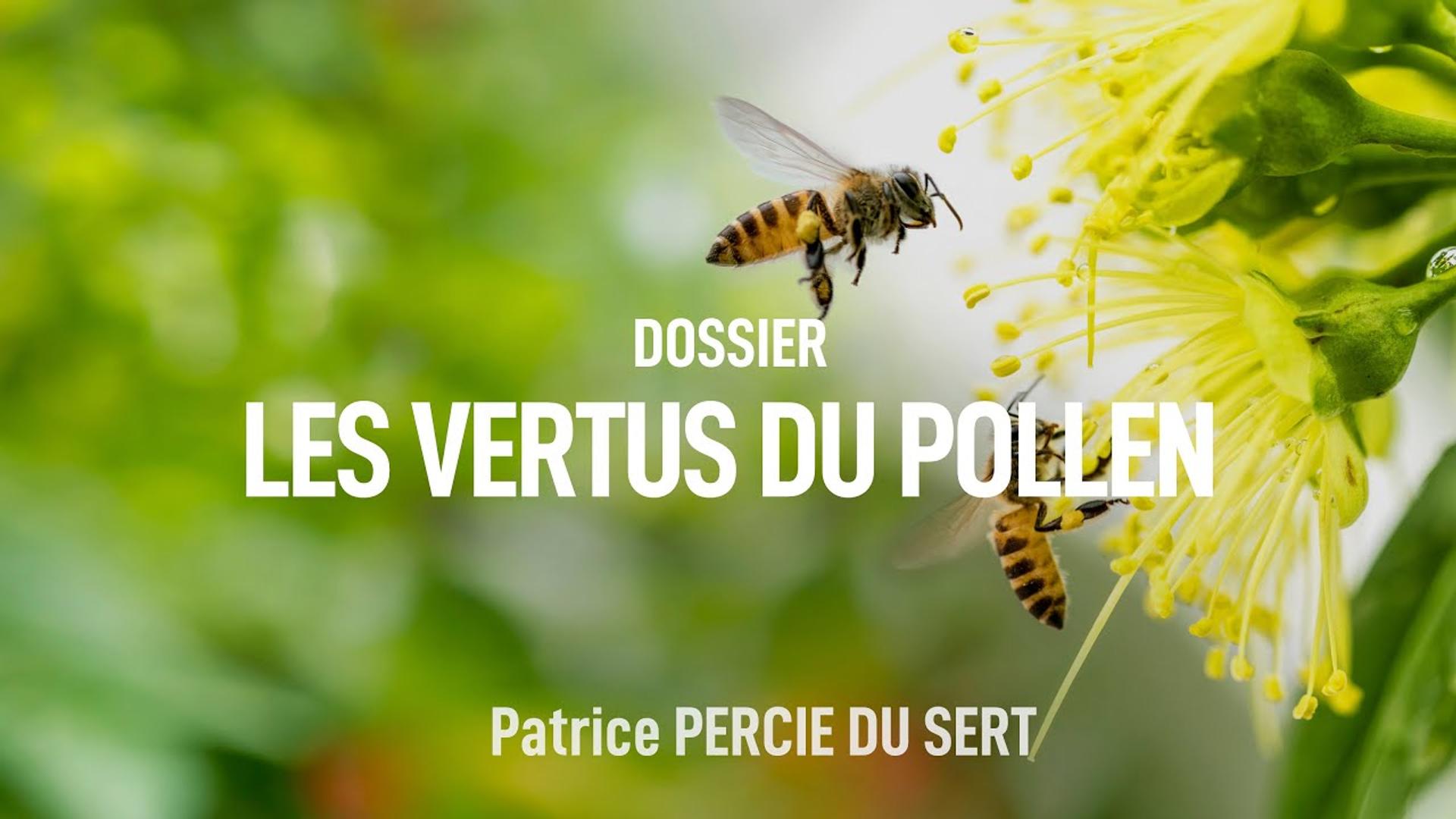 Les vertus du Pollen - Patrice PERCIE DU SERT