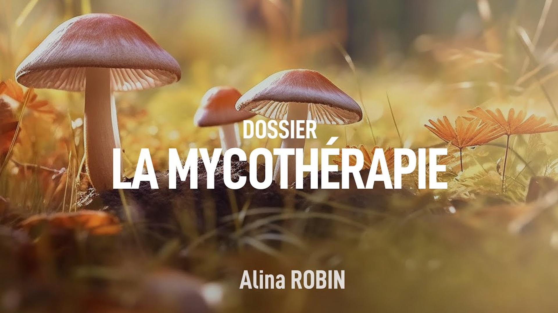 Découvrez le pouvoir insoupçonné des champignons ! Alina ROBIN