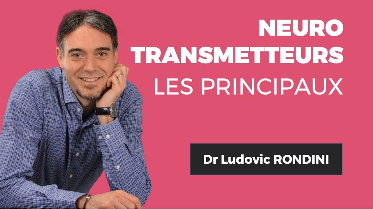 Tout savoir sur les principaux neurotransmetteurs