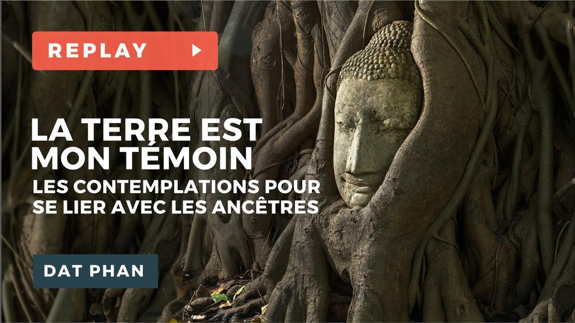 La Terre est mon témoin, les contemplations pour se lier à ses ancêtres - Méditation - Phil DAT PHAN