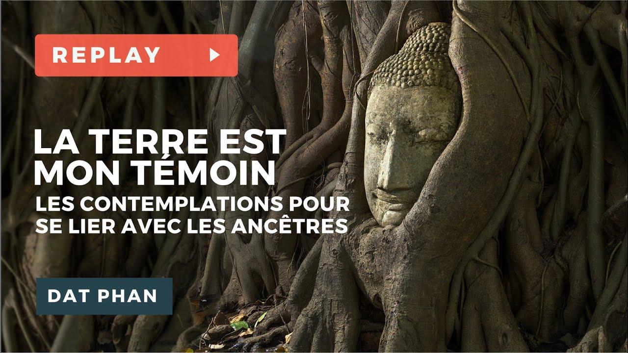 La Terre est mon témoin, les contemplations pour se lier à ses ancêtres - Méditation - Phil DAT PHAN