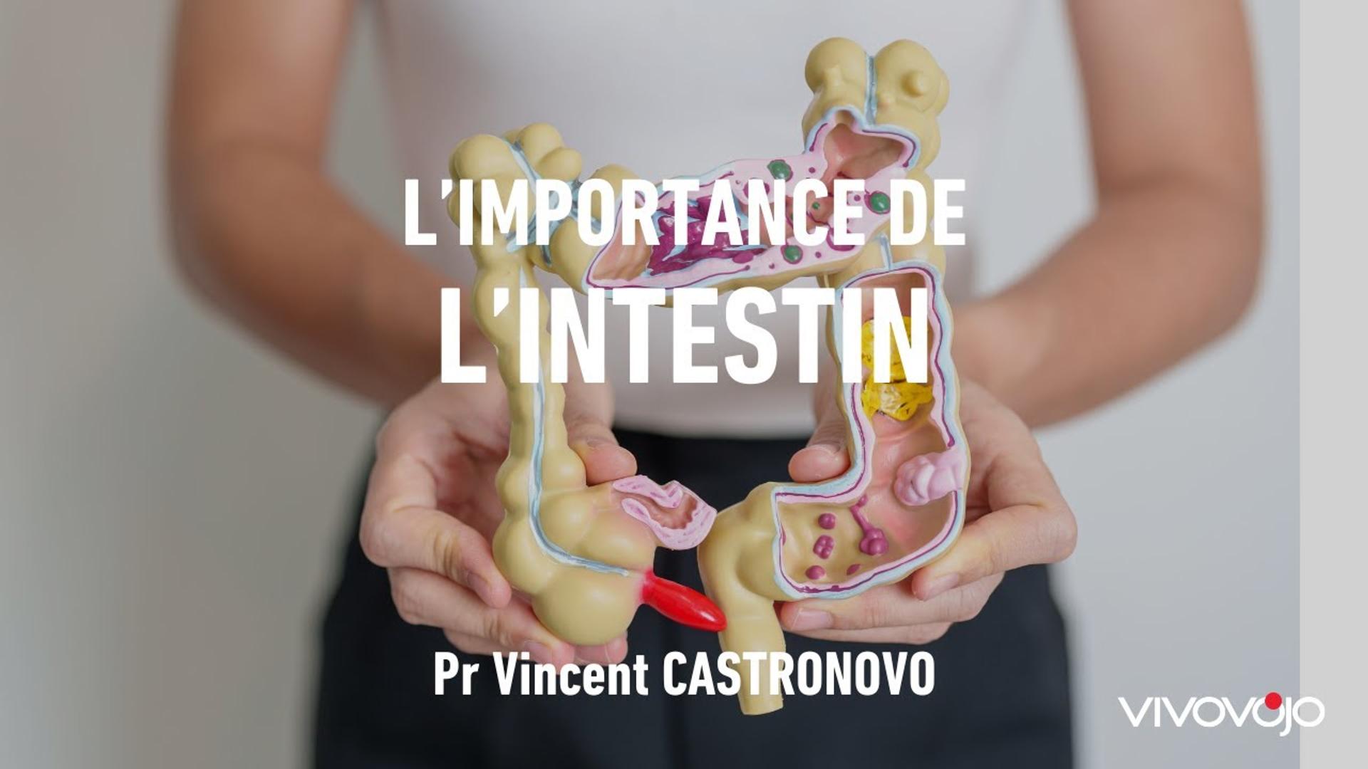 Tout se passe dans l'Intestin. Professeur Vinvent CASTRONOVO