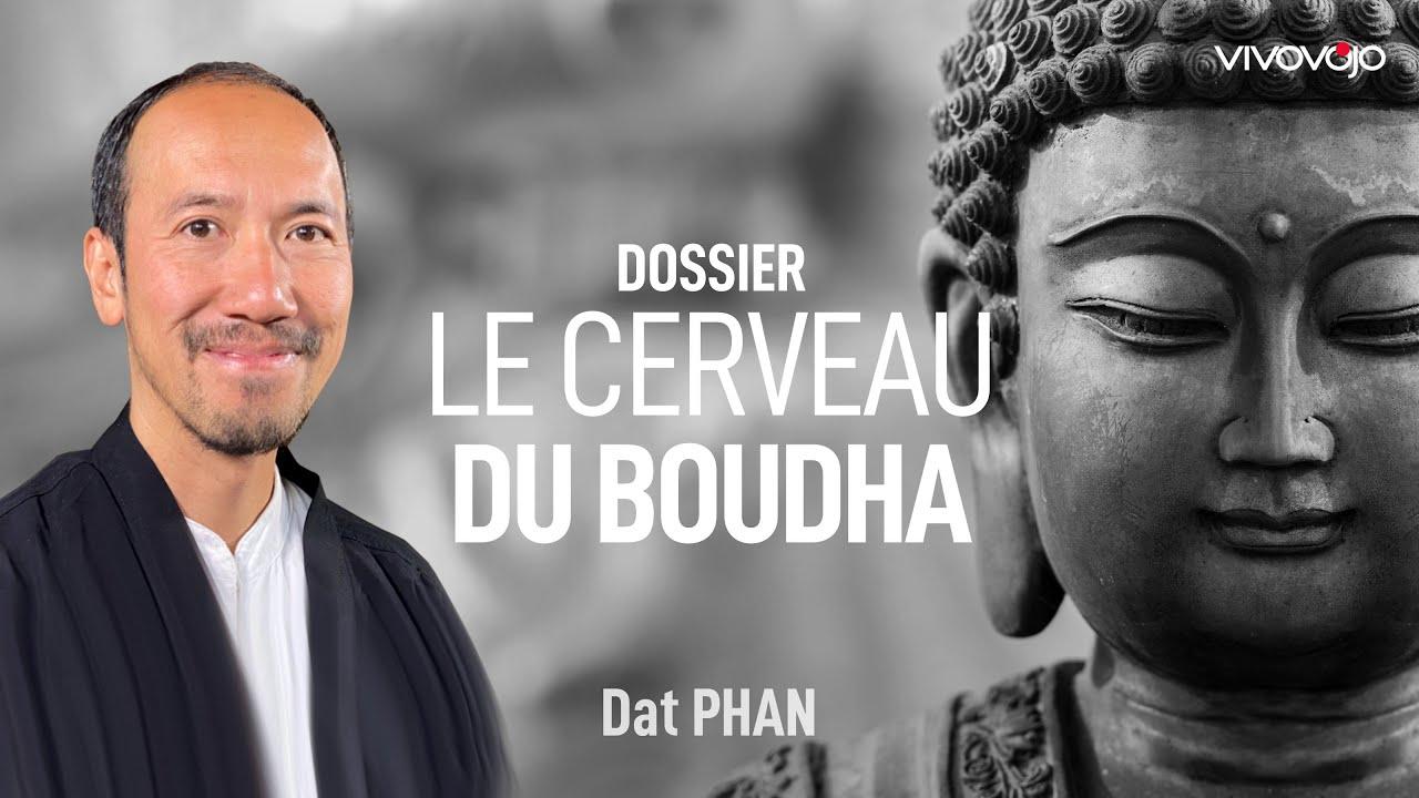 Le cerveau du Bouddha ! Dat PHAN