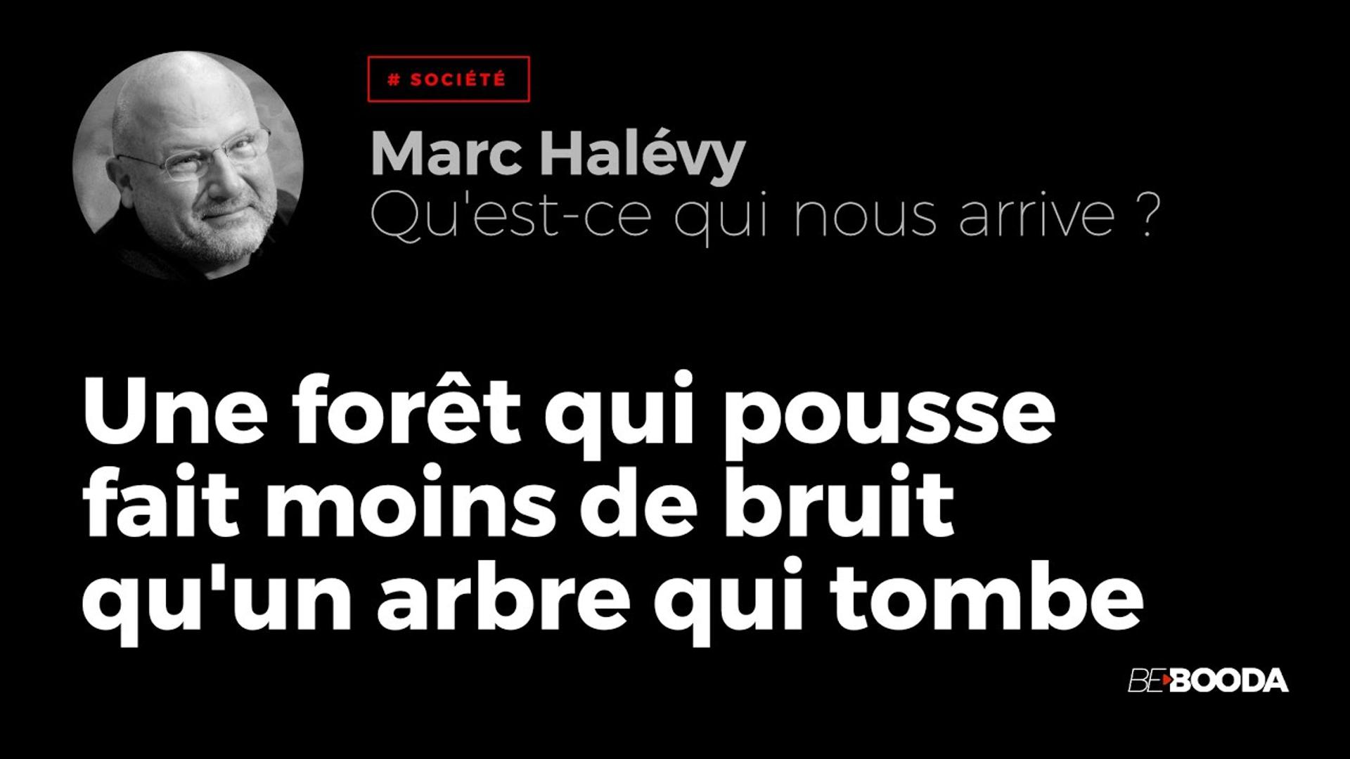 Une Forêt qui pousse fait moins de Bruit qu'un Arbre qui Tombe - Marc HALEVY