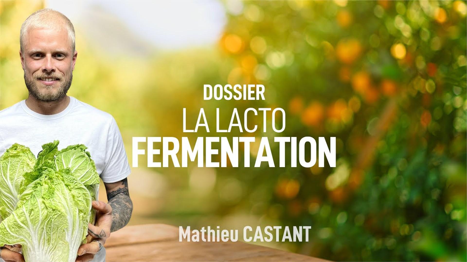 Les vertus de la lacto-fermentation ! Mathieu CASTANT