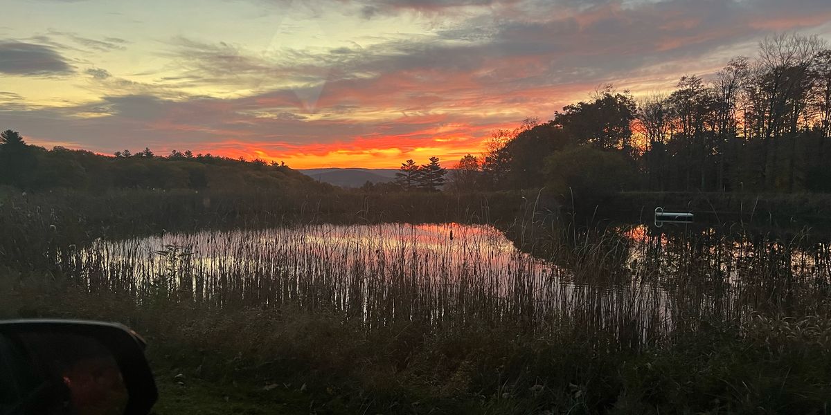 Hennessey Farm - Image 3