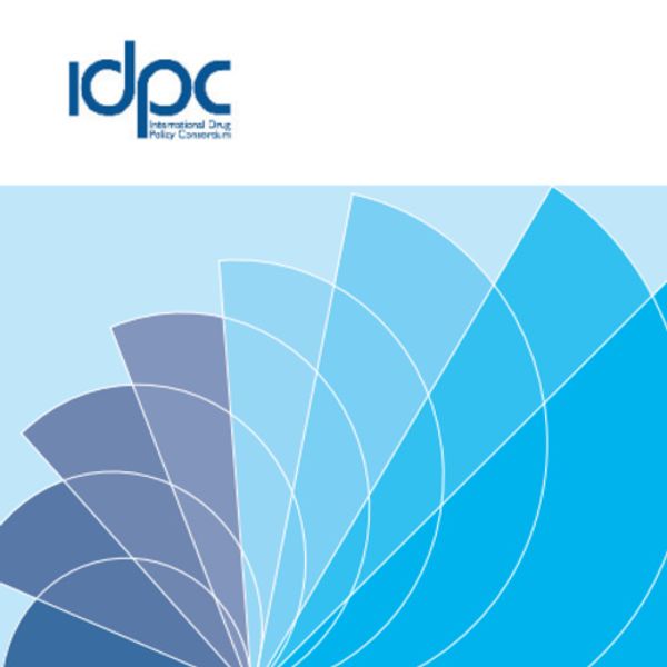 IDPC response to the 2014 UNODC World Drug Report - International Drug ...