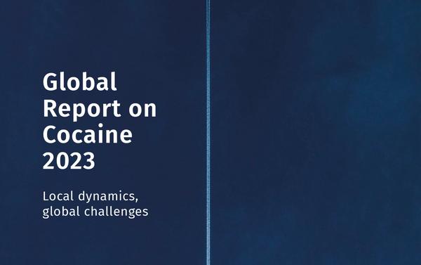 Global risks report. Global report 2023. Глобальный инновационный индекс 2023 узбекистан. Digital 2020 global digital overview tiktok. Global report 2023.