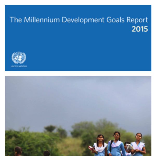 UN MILLENNIUM DEVELOPMENT GOALS REPORT 2015 visual data 4
