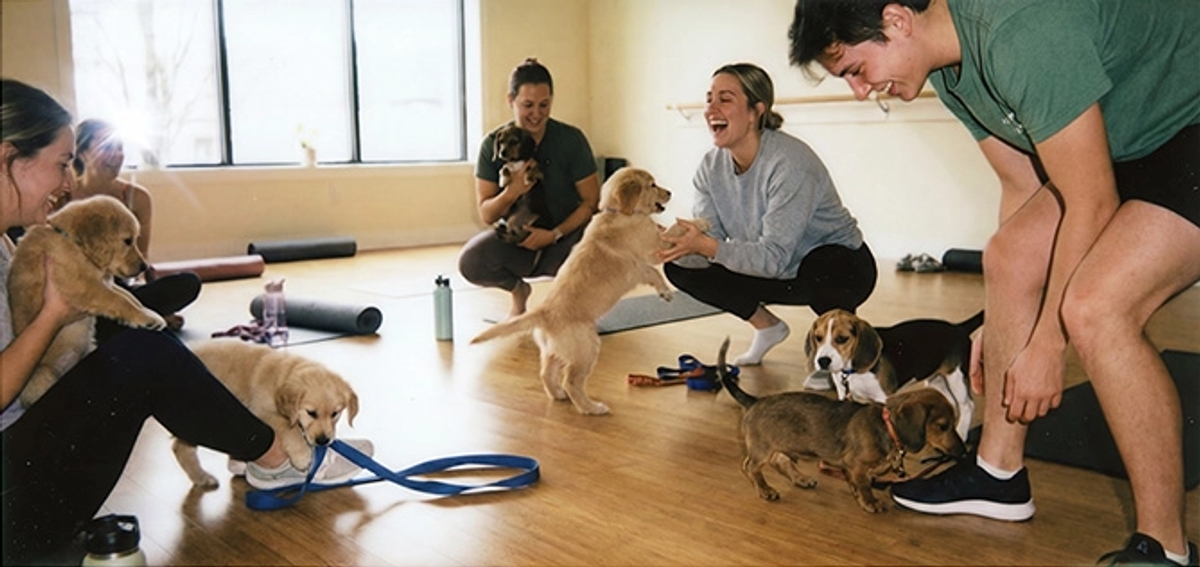 Project gallery image 19