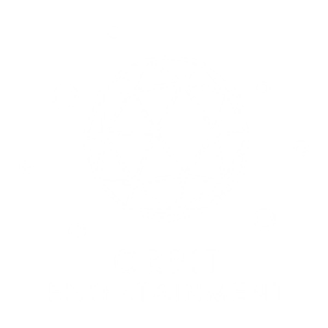 Orbit Entertainment