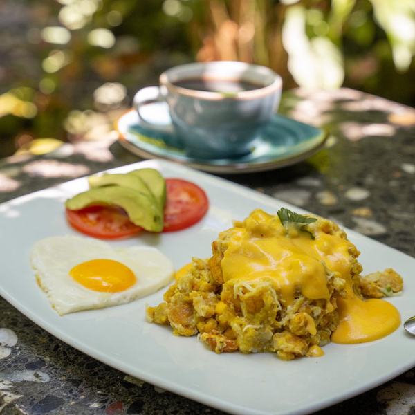 Tigrillo Especial Jungla