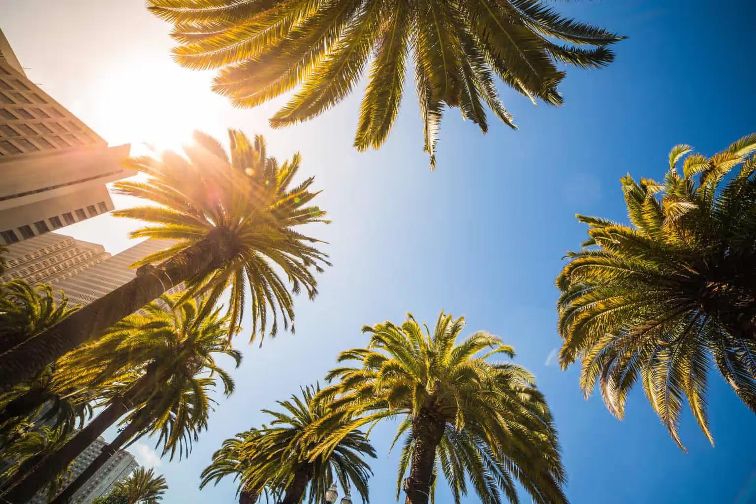 How to Explore the Best of Orlando