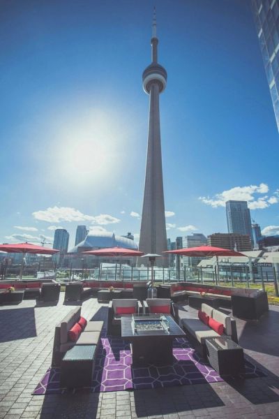 Delta Hotels by Marriott Toronto photo 4