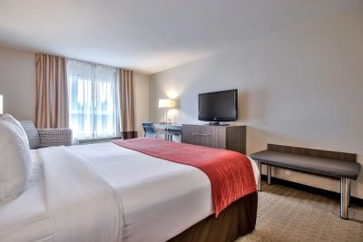 Comfort Inn And Suites South photo 4