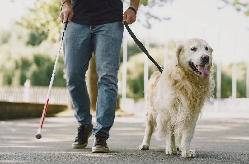 Are service animals allowed in rooms within the wedding block?
