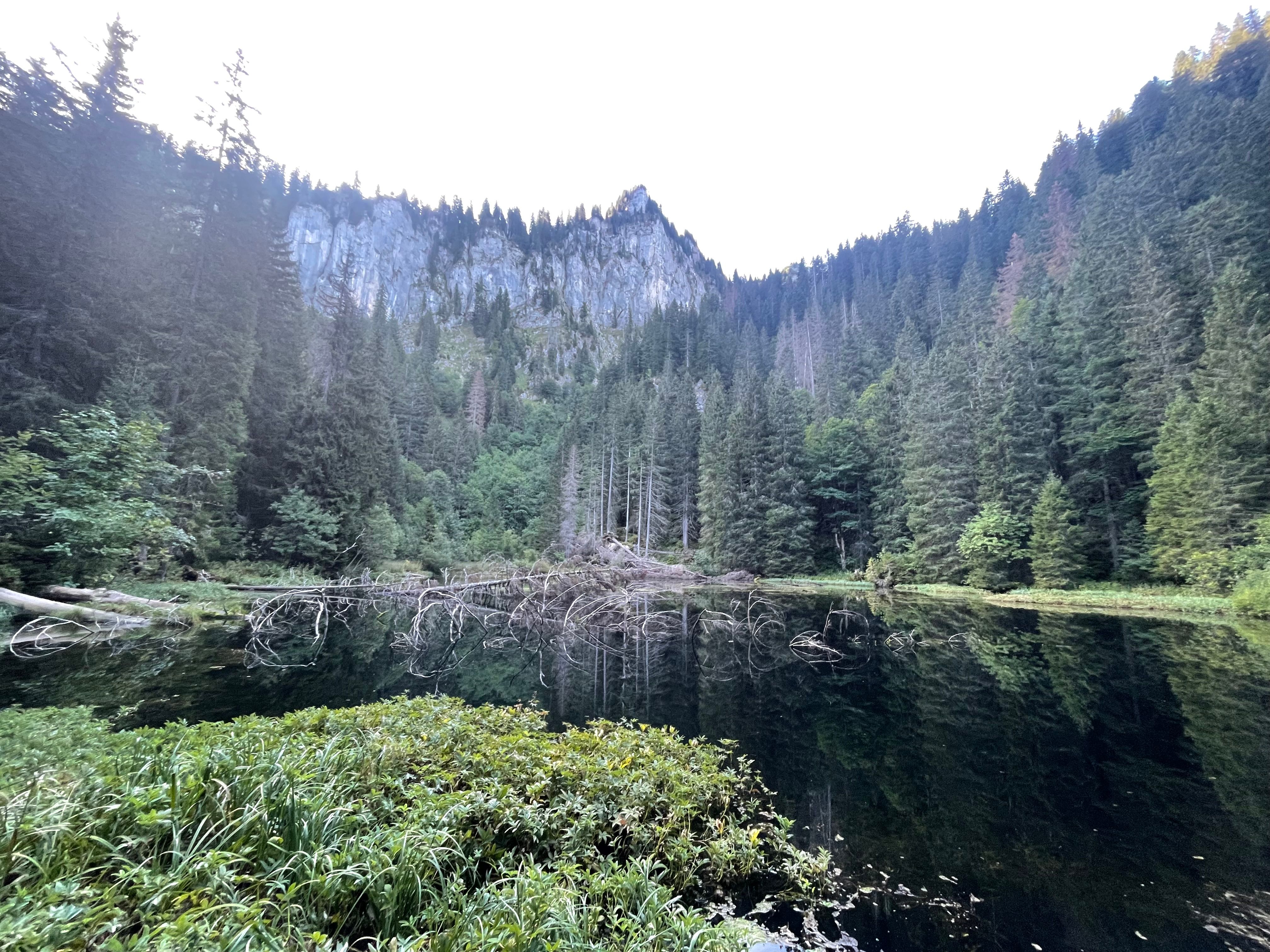 Le lac de la Chevrerie, entouré de forêt